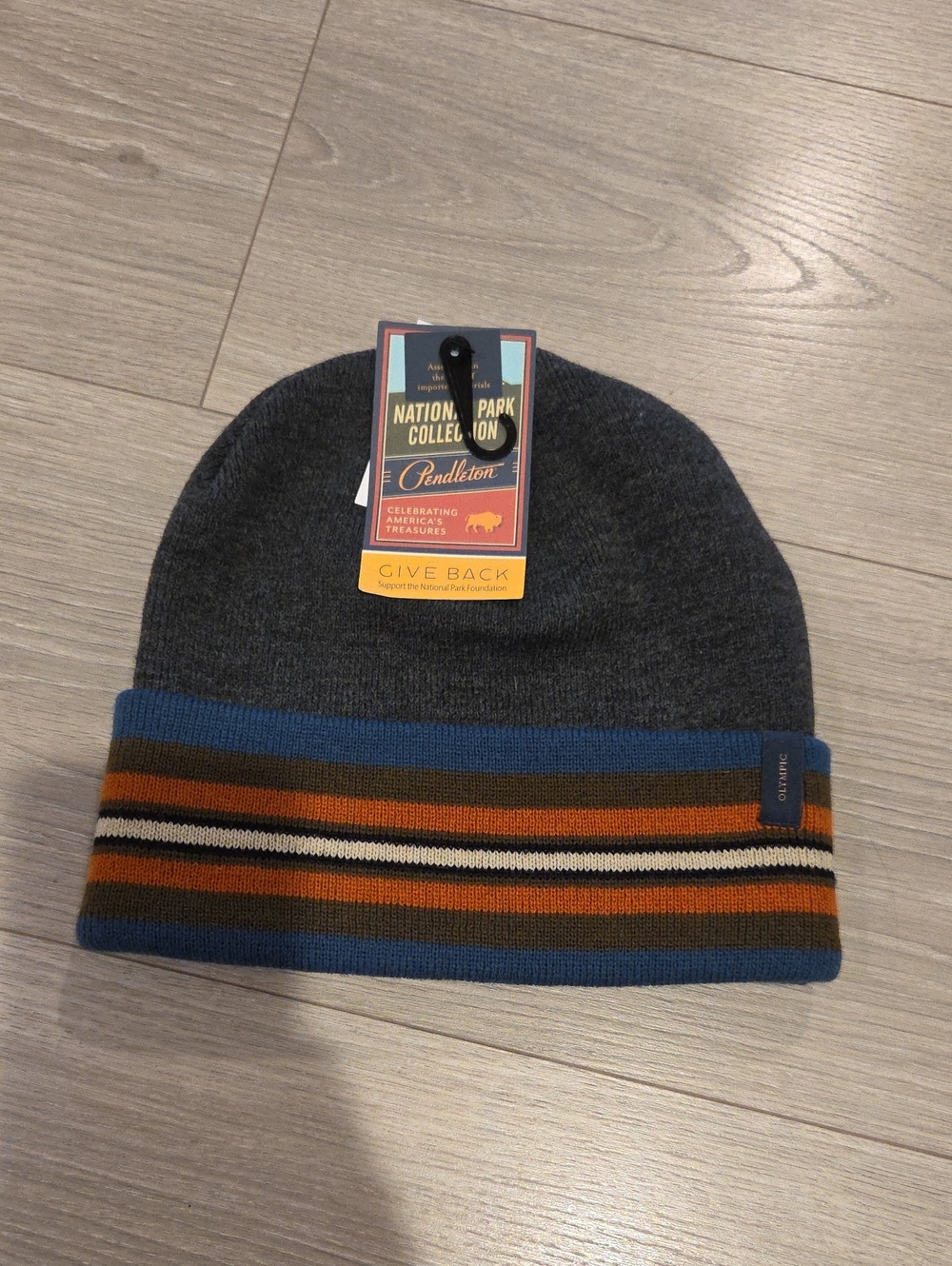 NWT Pendelton National Park Stripped Beanie